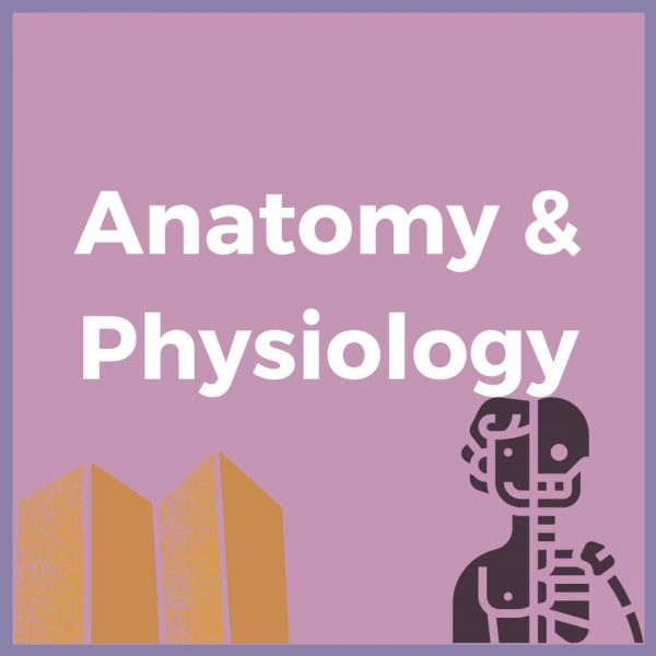 Professional anatomy and physiology course - Verrolyne Training - Verrolyne Training UK Course