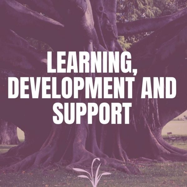 Learning, Development and Support - Verrolyne Training