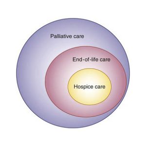 Palliative and End of Life Care Training Verrolyne Training