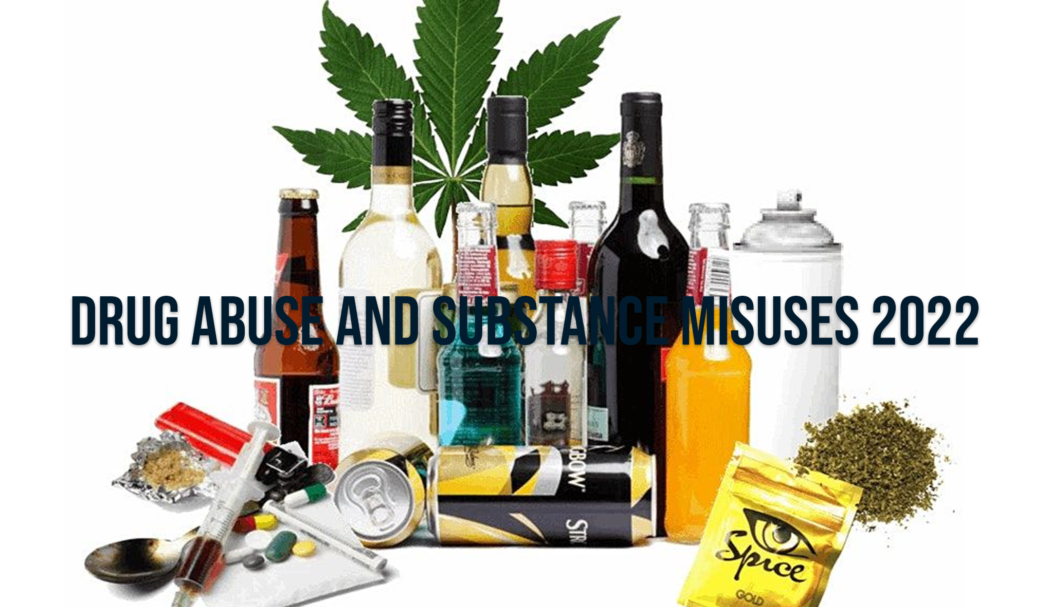 Drug Abuse and Substance Misuses 2022