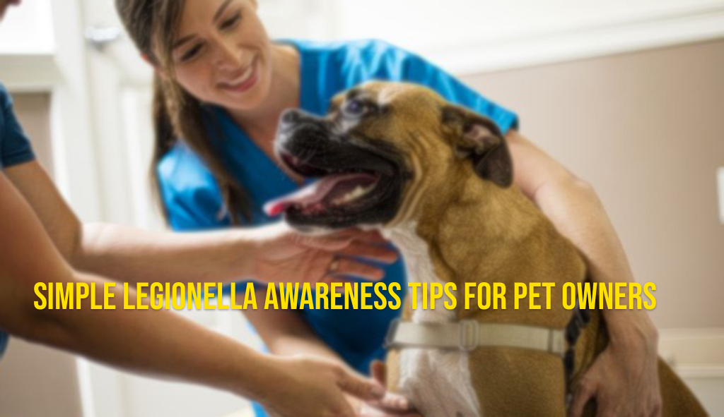 Simple Legionella Awareness Tips for Pet Owners