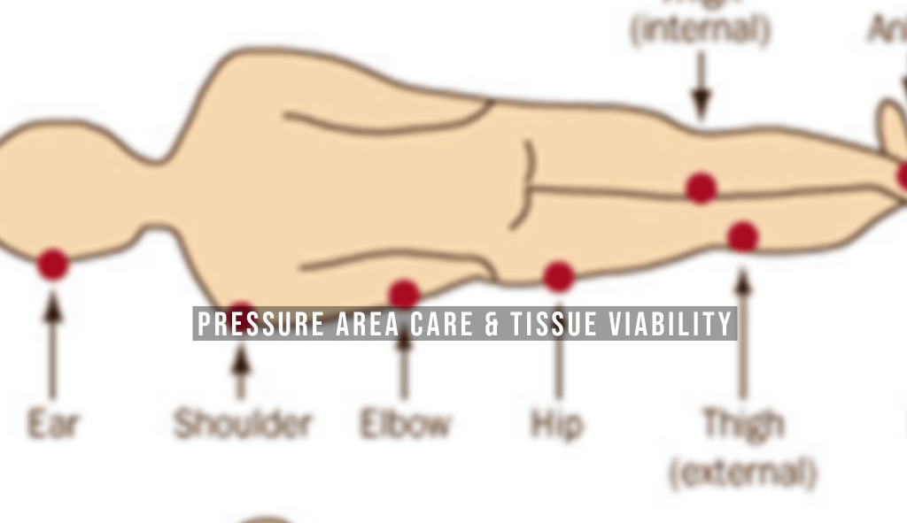Pressure Area Care & Tissue Viability - Verrolyne Training